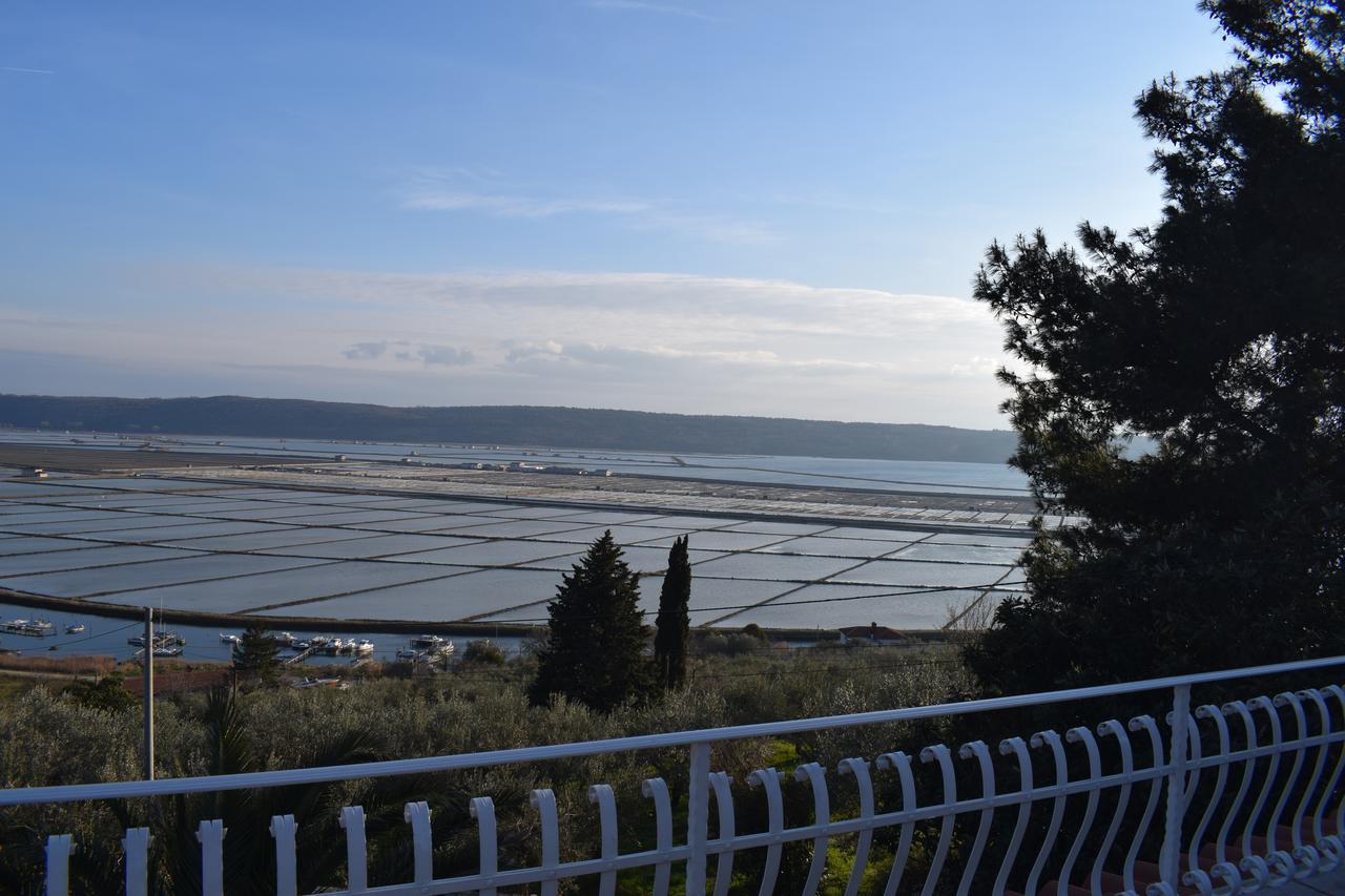 Laurus * Portoroz